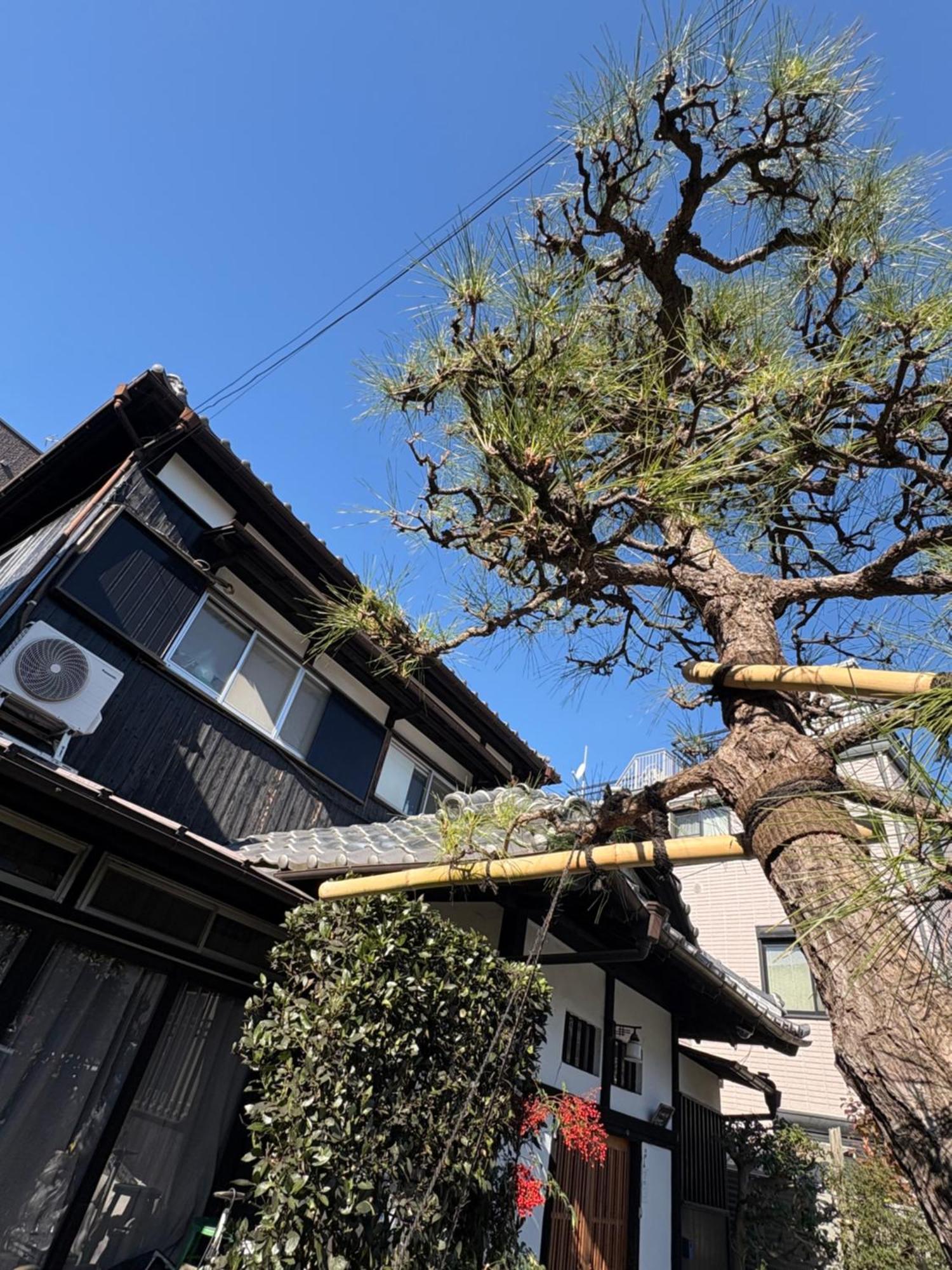 Kitazawa Cozy House Hotel Tóquio Exterior foto
